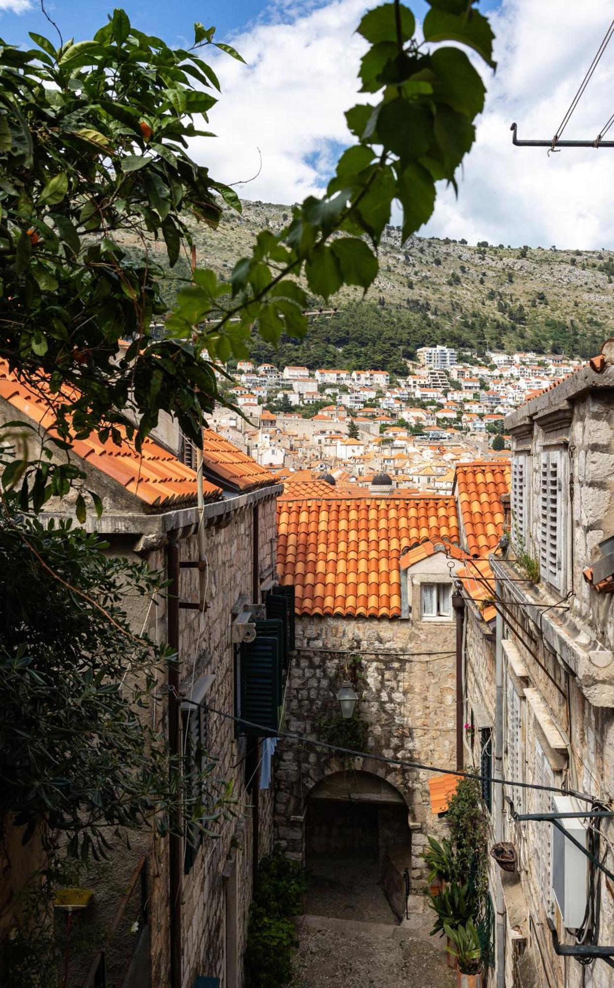 Apartment Taura Dubrovnik Eksteriør bilde
